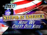 Stupid america