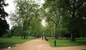 Park