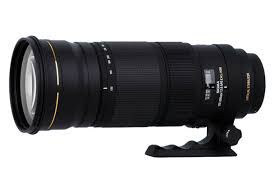 sigma 120