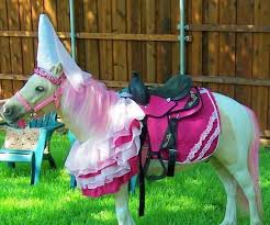 pretty pony