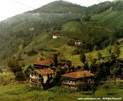 karadeniz