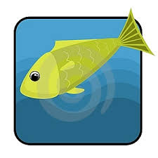 photos of fish