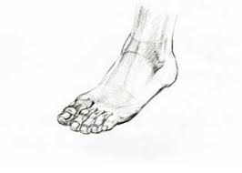 foot sketch