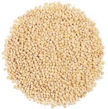 bird millet
