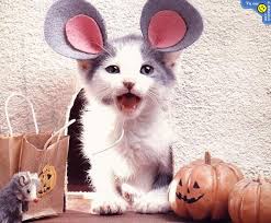 entraide binbango - Page 6 Chat-souris-haloween