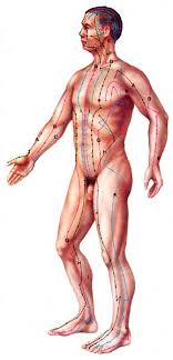 acupuncture meridien