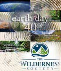 wilderness society
