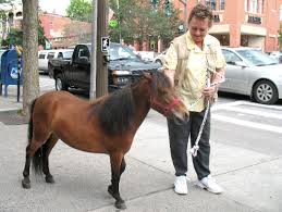 guide horses