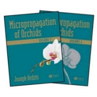 micropropagation of orchids