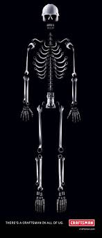 skeleton images