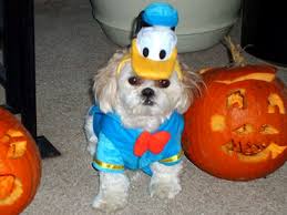 donald duck halloween costume