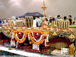 cat show cages