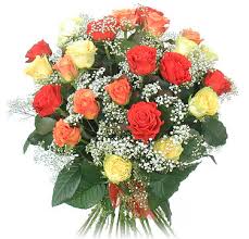 مرحبا بtikinidan Roses_bouquet