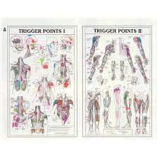 trigger point charts