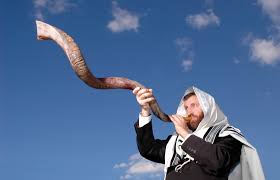 yemenite shofars