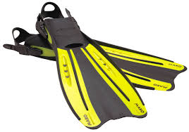 divers fins