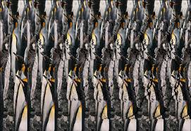 magic eye stereograms