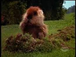 dancing gopher