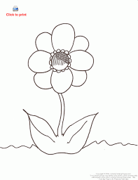printable flower pictures