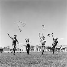 fly kite
