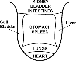 ayurvedic tongue diagnosis