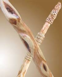 diamond willow tree