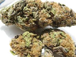 medical weed
