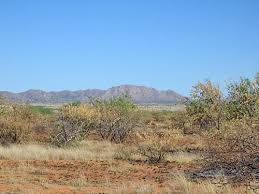 Sonoran Desert