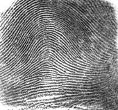 types fingerprints