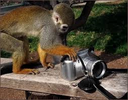 cameras 16