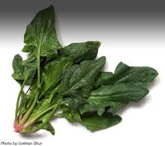 spinach