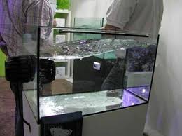 écumeur aquarium