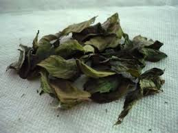 dried mint leaves