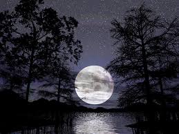 malam Pertama @ isuhangat