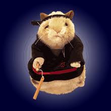 ninja hamster