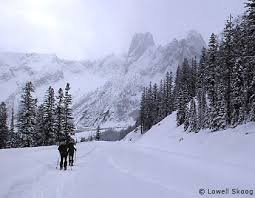washington pass