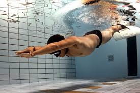 swim speedos