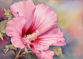 yellow rose of sharon