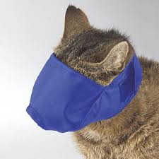 cat grooming bag