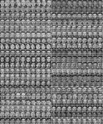 faces