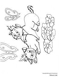 kitten coloring pages