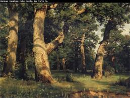 shishkin