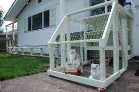 castle cats