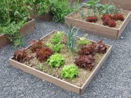 Projet Jardin solidaire du CPAS