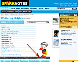 You should cite SparkNotes