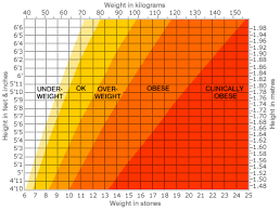 calculate bmi