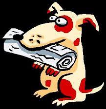 dog newspaper