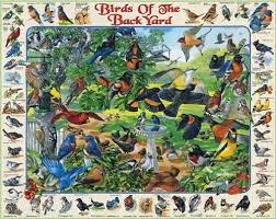 birds puzzles
