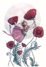 ladybug art