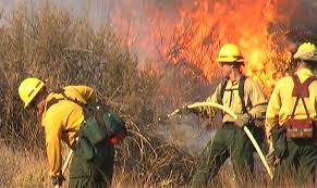 forest fire fighter